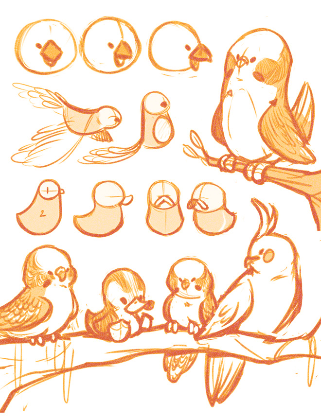 Birds illustration by Rodgon